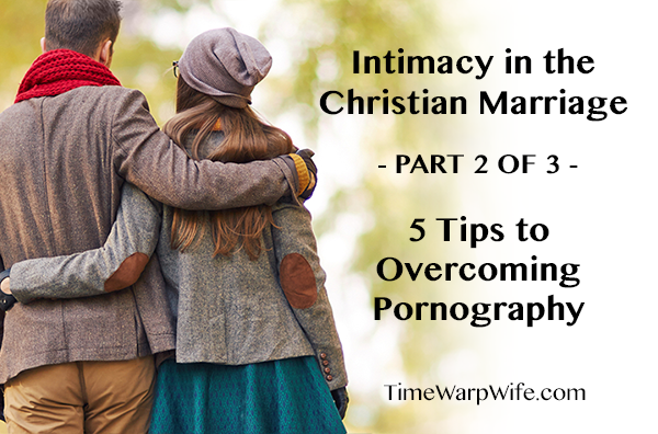 Intimacy in the Christian Marriage – Part 2 of 3 – 5 Tips to Overcoming Pornography