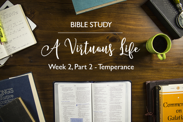 “A Virtuous Life” Bible Study – Week 2 – Recap