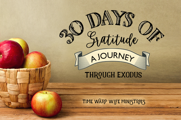 Exodus – FREE 4-Week Bible Study Starts Today!