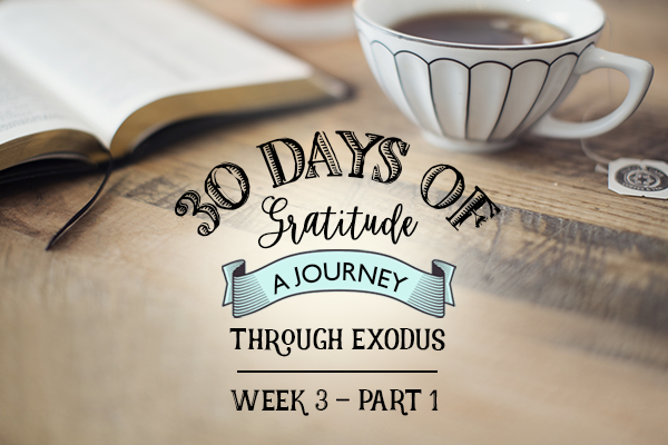 Exodus Bible Study – Week 3 – Part 1