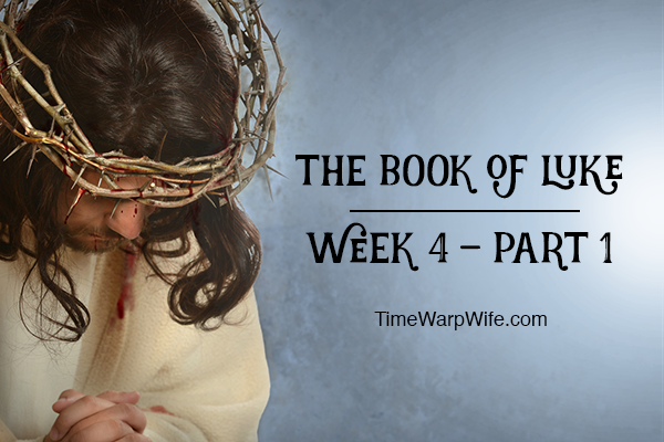 Bible Study – The Book of Luke Week 4 – Part 1