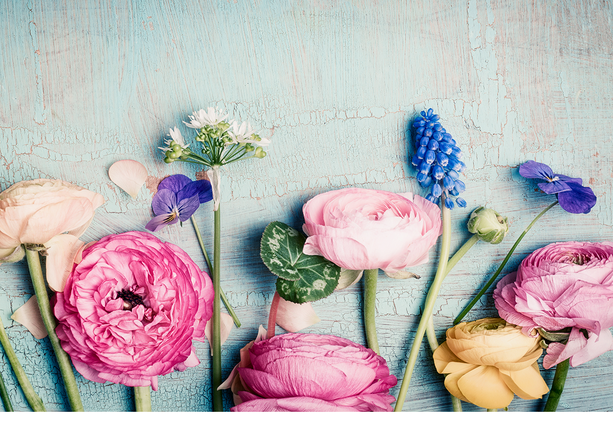 Daily Devotion – Hope Where all Hope is Lost