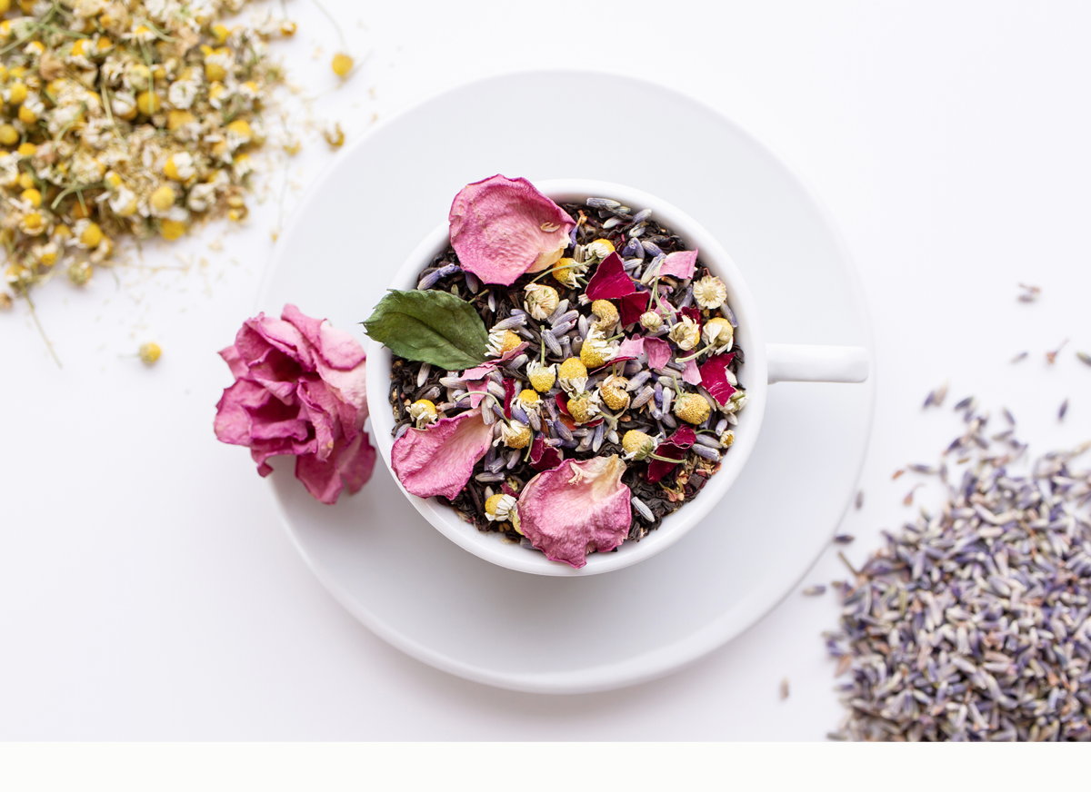 Daily Devotion – Good Friends Sharpen Without a Sharp Tongue