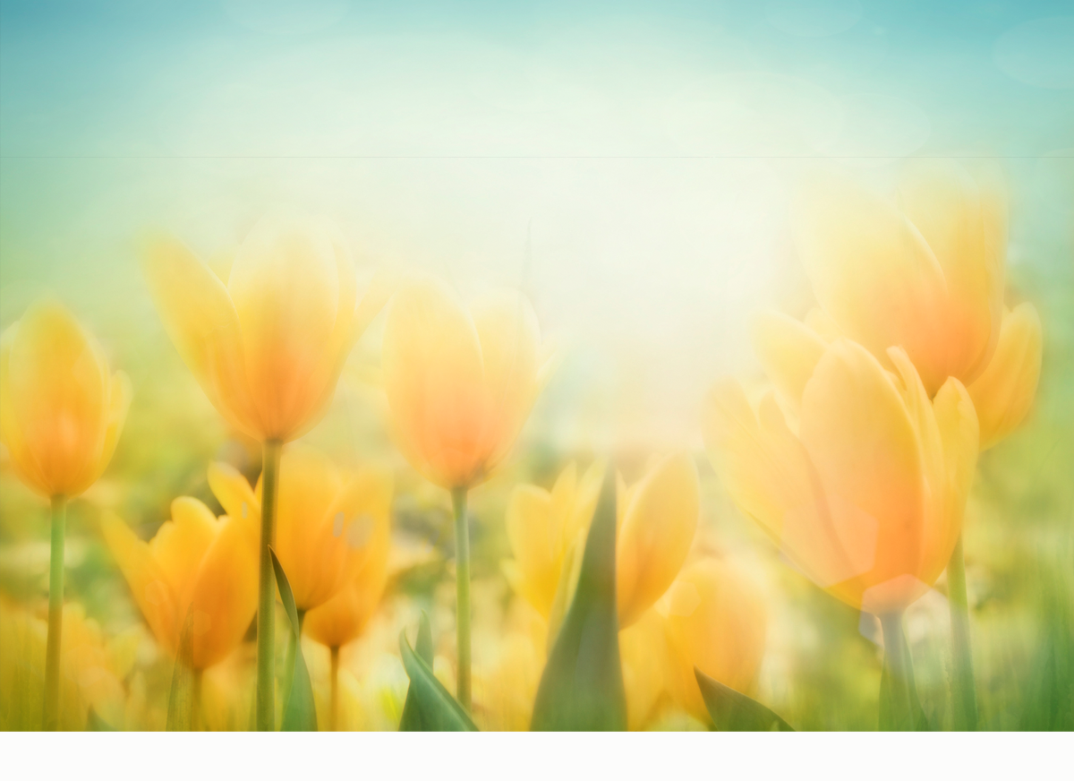 Daily Devotion – When You Know What You Know