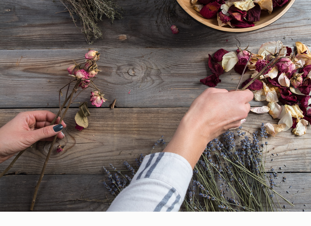 Daily Devotion – We Serve an Unchanging God