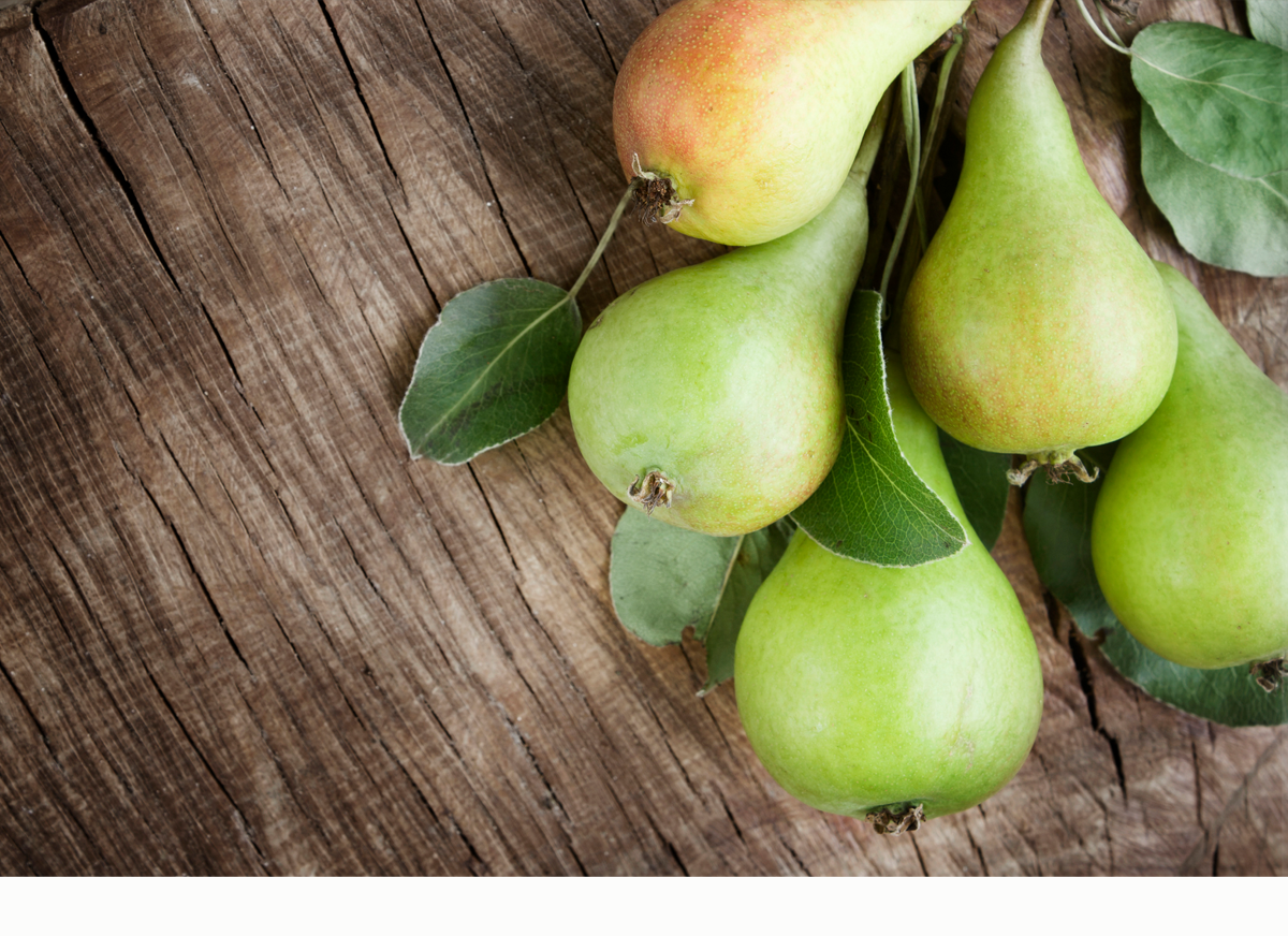 Daily Devotion – To Rest in His Wisdom and Strength