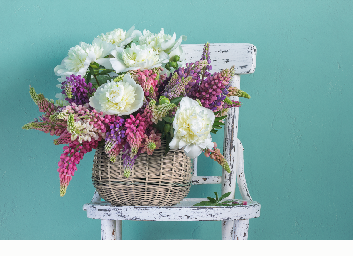 Daily Devotion – I Have Fought the Good Fight