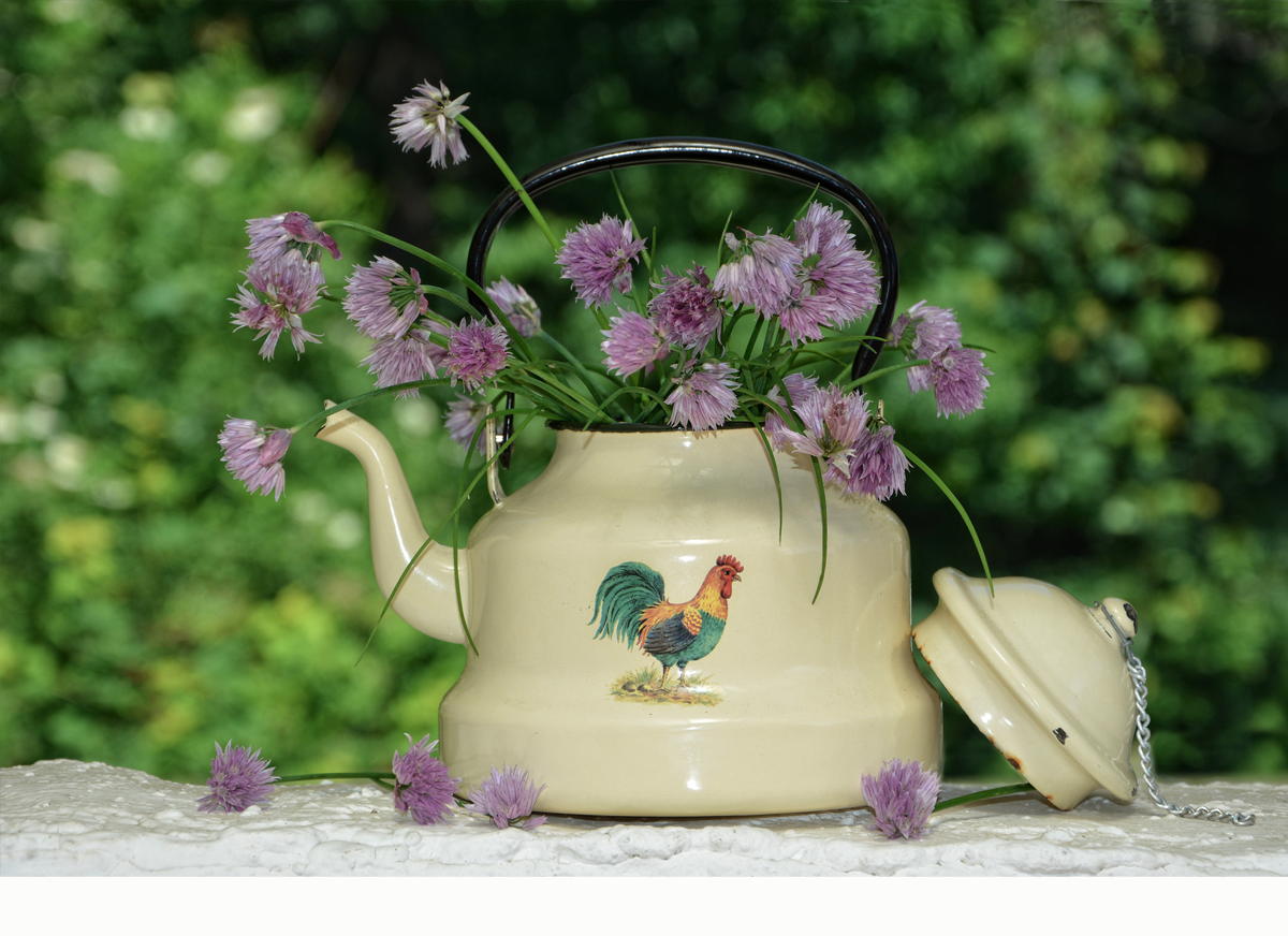 Daily Devotion – The Parable of the Rich King and the Peasant Girl