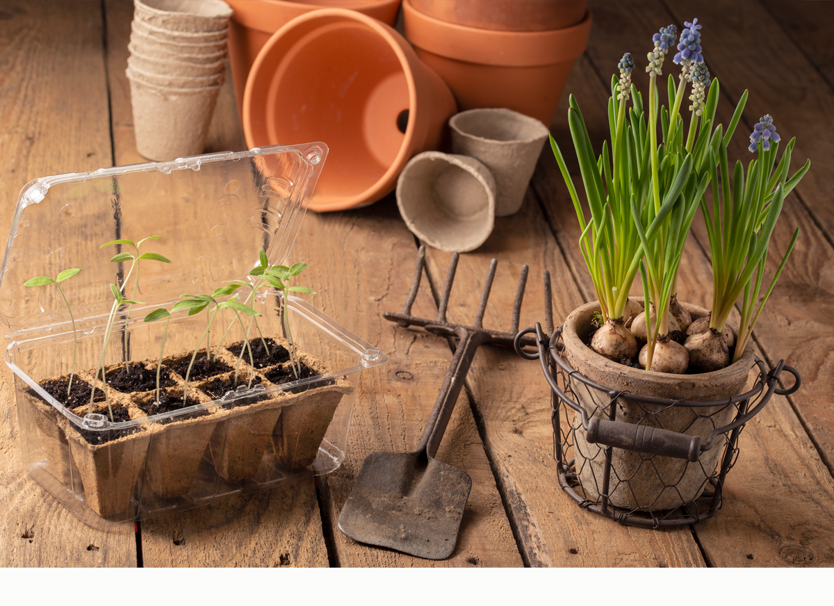 Daily Devotion – Haste Makes Waste