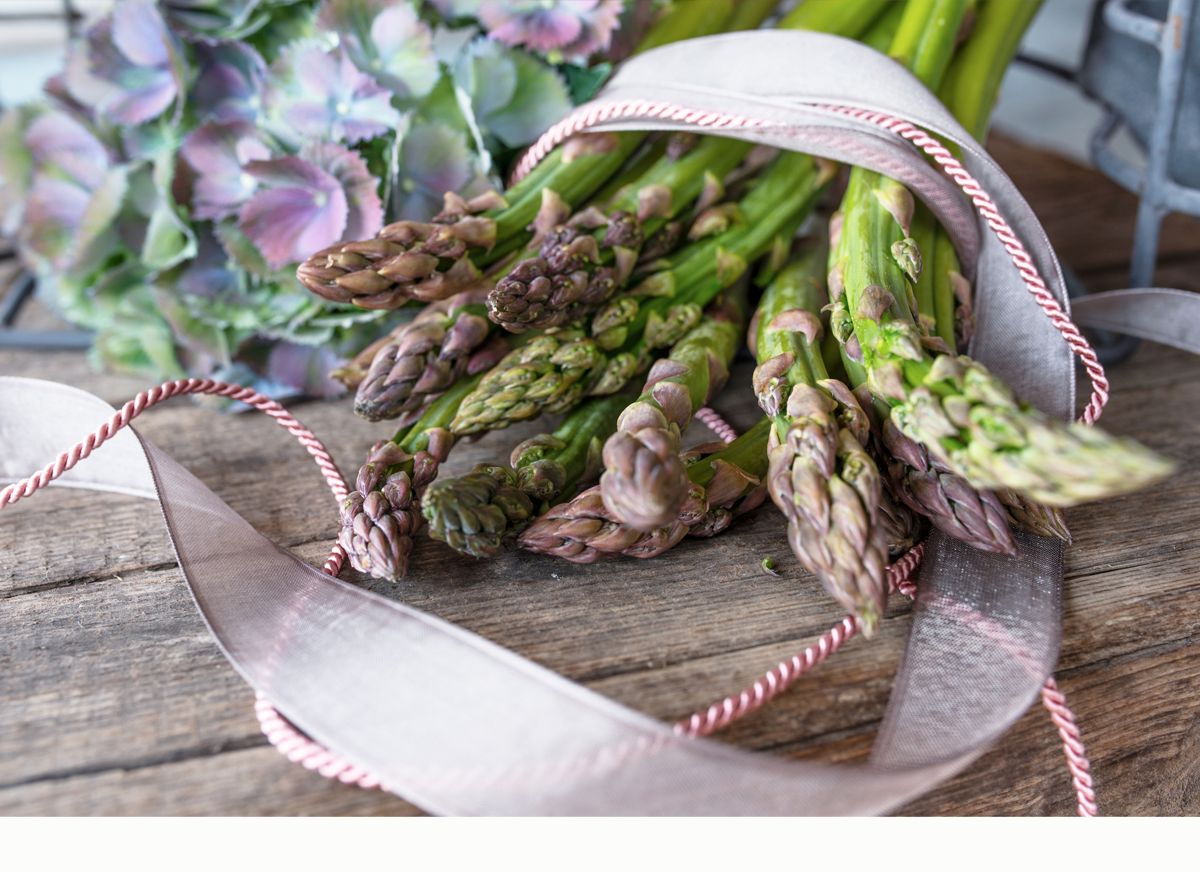 Daily Devotion – Wisely Using Our God-Given Gifts