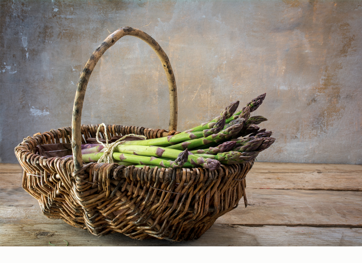 Daily Devotion – Letting Go of Worry