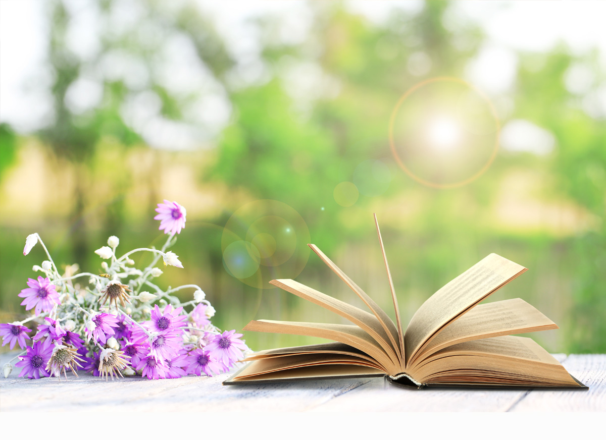 Daily Devotion – Growing In Grace