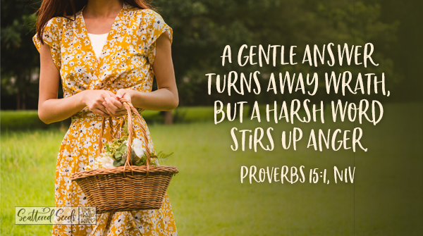 Daily Devotion – A Gentle Answer Turns Away Wrath