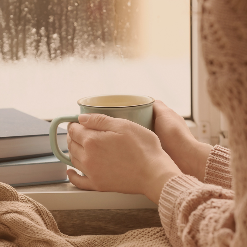 devotions Discovering Joy Bible Study