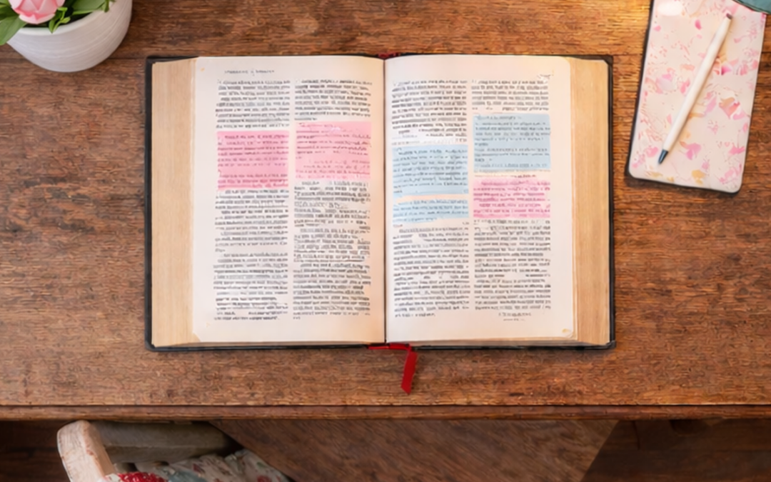 Compassion Comes in Small Packages Too