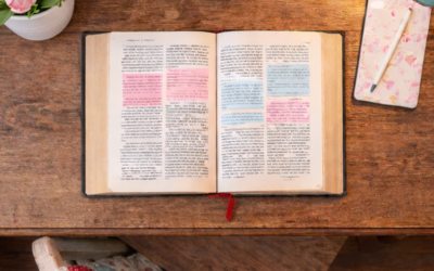 Compassion Comes in Small Packages Too